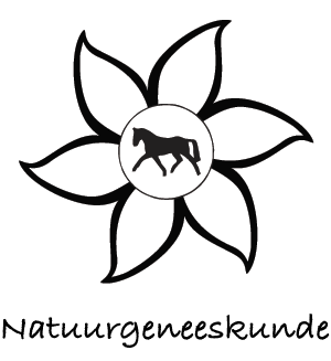 Logo De Heuvelhoeve Natuurgeneeskunde